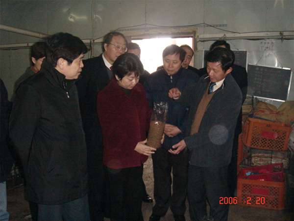 2006年江蘇省原副省長黃莉新現(xiàn)場考察指導(dǎo)